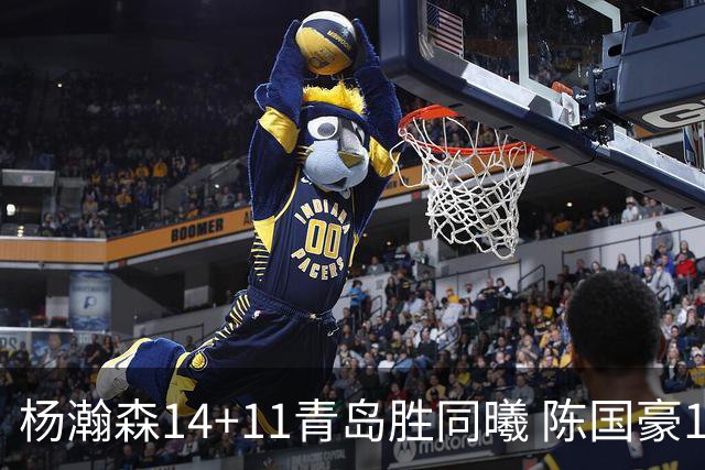 杨瀚森14+11青岛胜同曦 陈国豪12+7北控负深圳